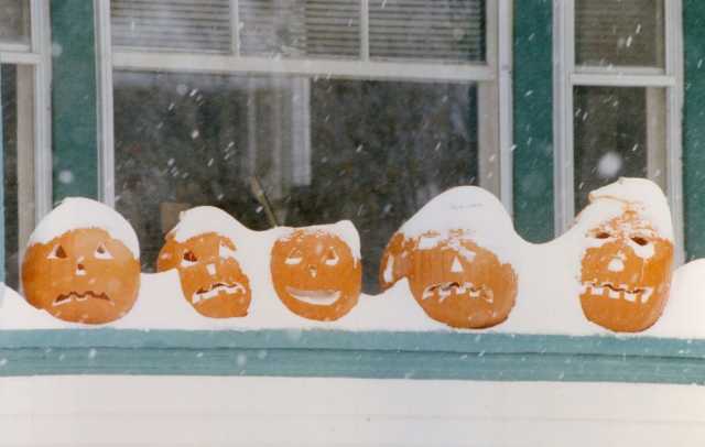 Halloween Jack-O'-Lanterns covered with snow from Halloween Blizzard.